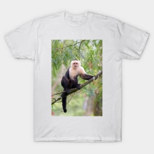 Capuchin monkey - Costa Rica T-Shirt